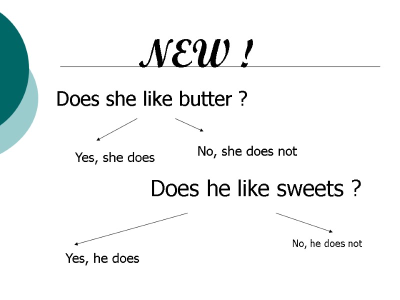 NEW ! Does she like butter ? Yes, she does No, she does not
